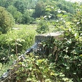 DCP_1357.JPG