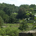 DCP_1359.JPG