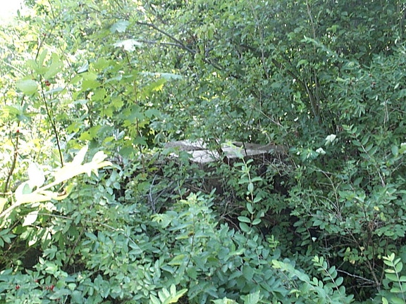 DCP_1360.JPG