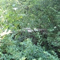 DCP_1360.JPG