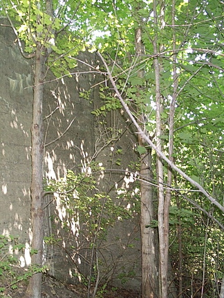DCP_1362.JPG