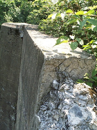 DCP_1367.JPG