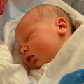 D7K_2820a-crop-bf.jpg