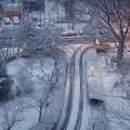 Yesterday the first snow stuck to the ground here in the Bronx. Overnight was the first time the snow covered this ground comple