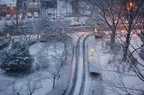 Yesterday the first snow stuck to the ground here in the Bronx. Overnight was the first time the snow covered this ground comple