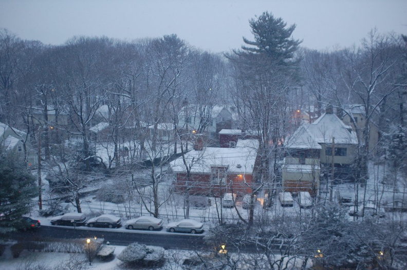 Yesterday the first snow stuck to the ground here in the Bronx. Overnight was the first time the snow covered this ground comple