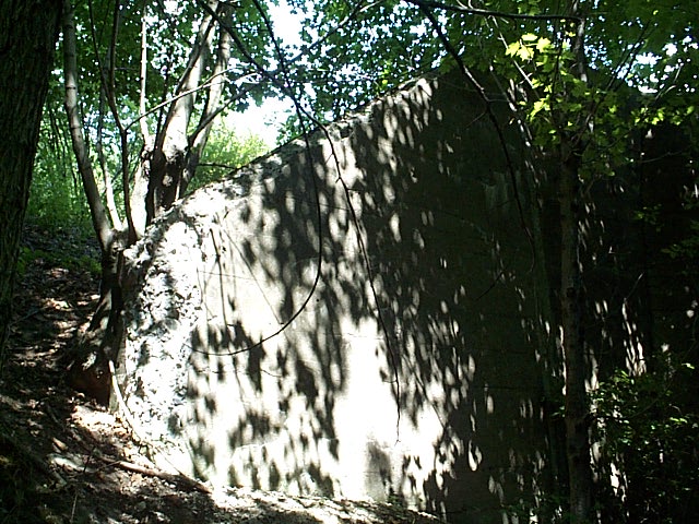 DCP_1363.JPG