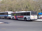 PDRM4121.JPG