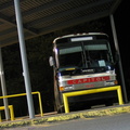 IMG_5739a.jpg