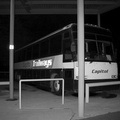 IMG_6610abw.jpg