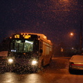 DSC_2764a.jpg