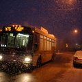 DSC_2765.jpg