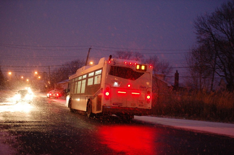 DSC_2767.jpg