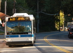 DSC_3467a.jpg