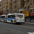 DSC_4555.JPG
