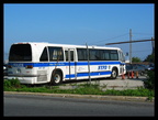 IMG_5671a.jpg