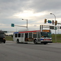 DSC_3365a.jpg