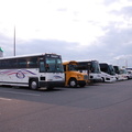 DSC_3437.jpg