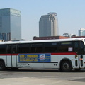 IMG_0151a.jpg
