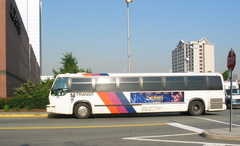IMG_0156a.jpg