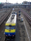 LIRR DE30AC 409 @ Sunnyside Yard. Photo by Brian Weinberg, 01/09/2003.