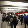 Geese on the upper (westbound/southbound) level of 5 Av / 53 St heading towards the escalators up to the mezzanine. Photos taken