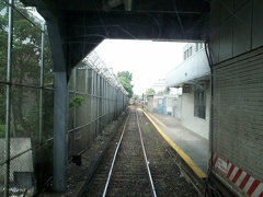 canarsie001