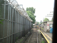 canarsie003