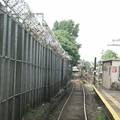 canarsie003