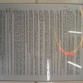 IMG_0408a.jpg - path rules