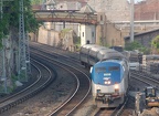 DSC_2600a.jpg