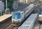 DSC_2604a.jpg