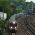DSC_2686a.jpg
