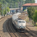 DSC_2701a.jpg