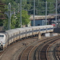 DSC_2715a.jpg