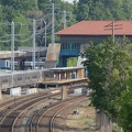 DSC_2772a.jpg