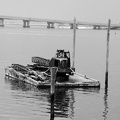 DSC_3082abw.jpg