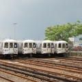 DSC_3085a.jpg