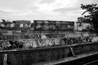DSC_3165bw.jpg