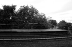 DSC_3172bw.jpg