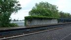 DSC_3173a.jpg