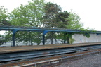 DSC_3176a.jpg