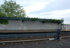 DSC_3178a.jpg