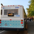 DSC_3712a.jpg