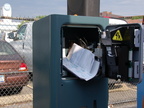 DSC_3785a.jpg