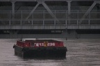 100_6310a.JPG