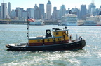 DSC_5029.jpg