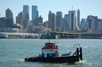 DSC_5037.jpg