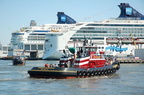 DSC_5102a.jpg