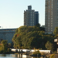 DSC_7234a.jpg